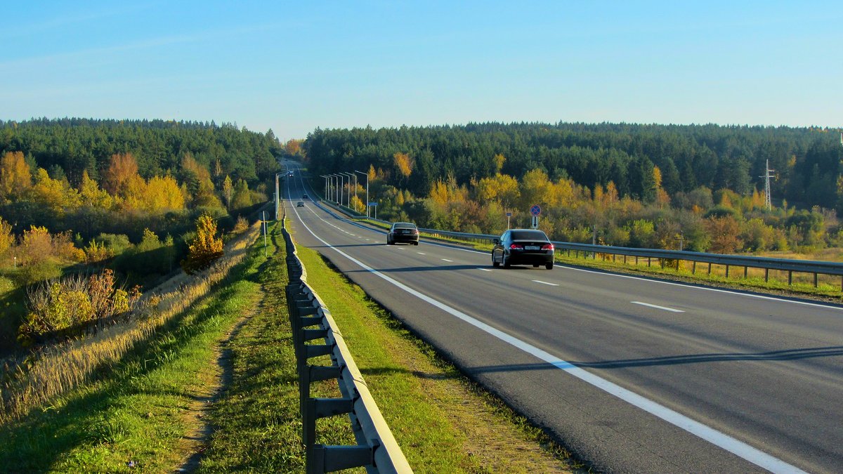 Дорога в осень - Виталий Андрейчук