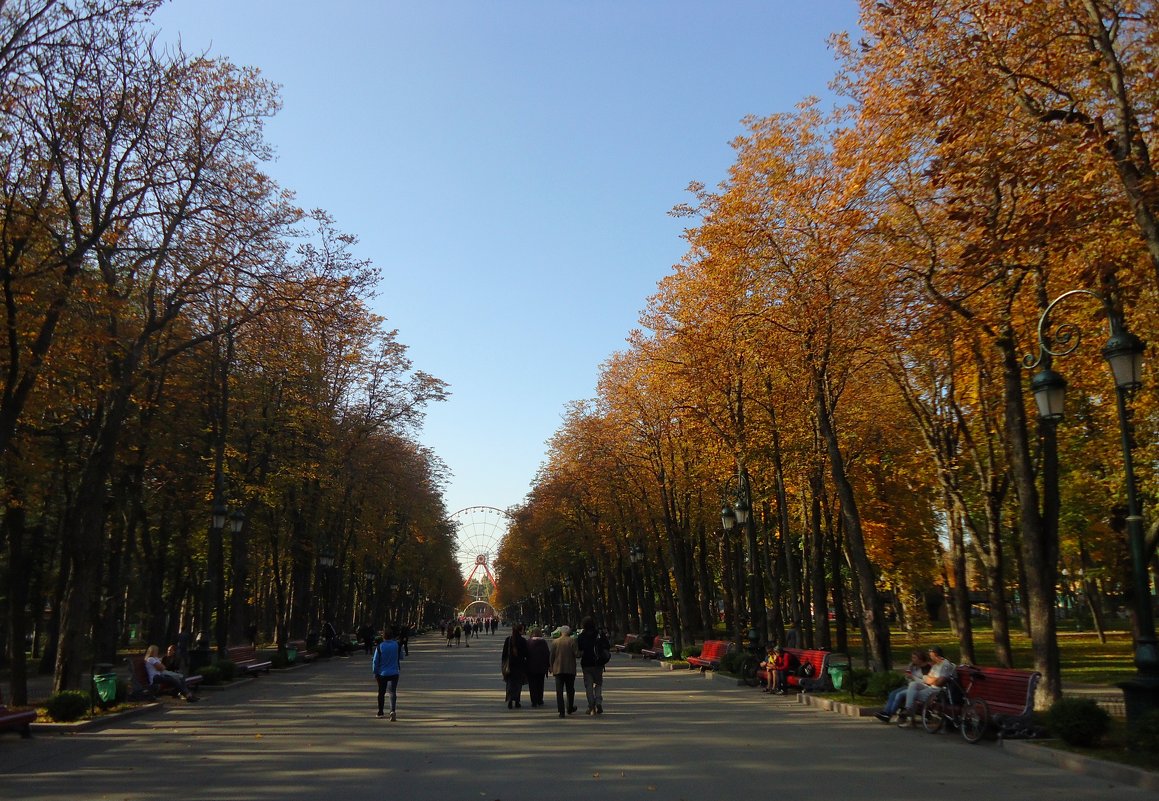 Осенние прогулки - Ирина 