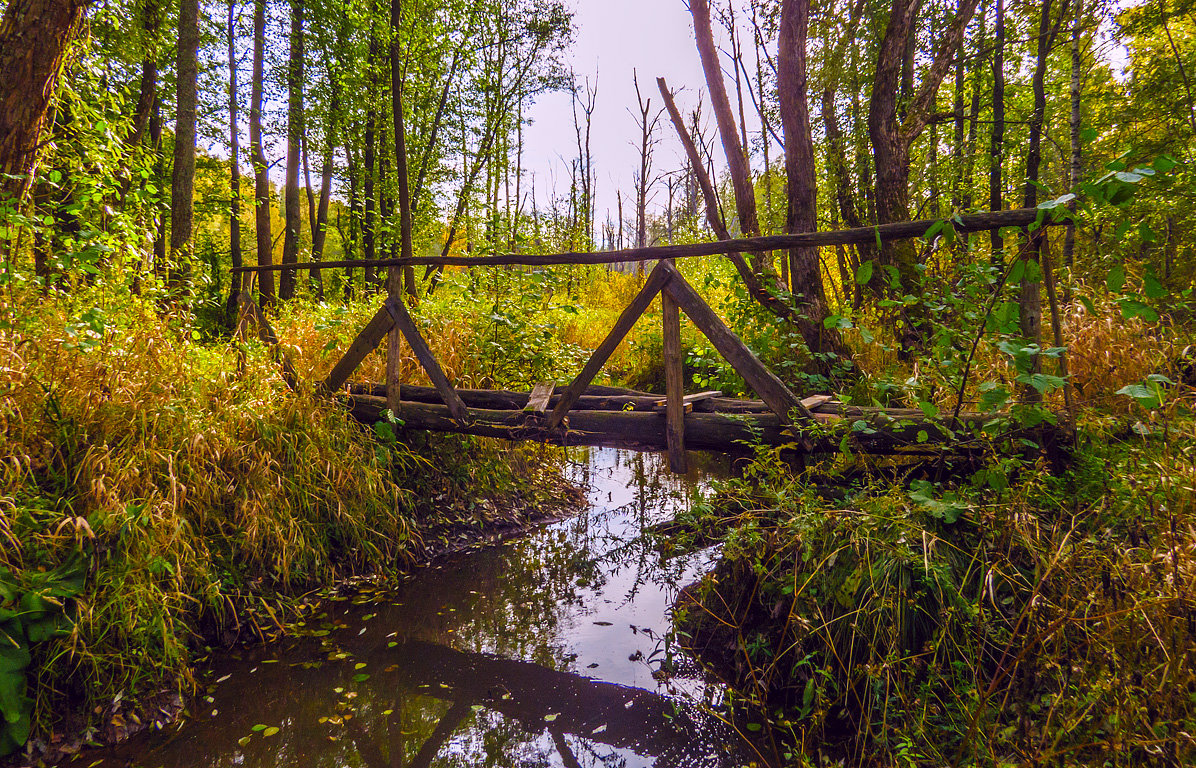 Мосток над лесной речкой - Сергей Цветков