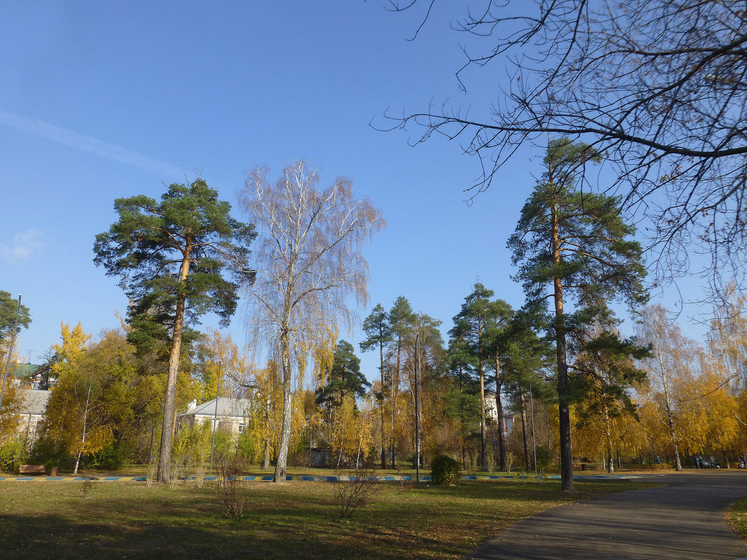 Парк имени Урицкого в октябре 2018 - Наиля 