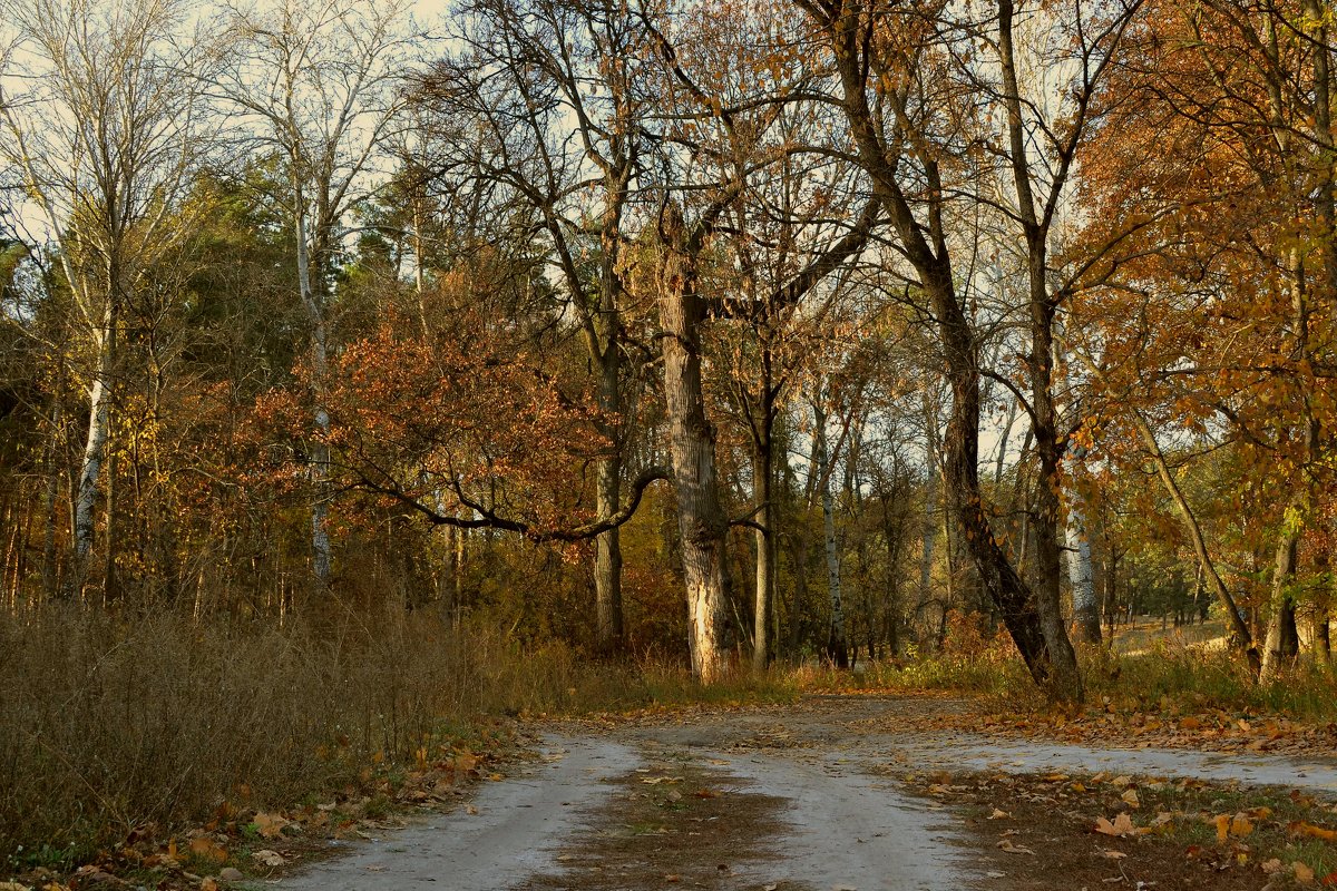 ... - Александръ Морозовъ