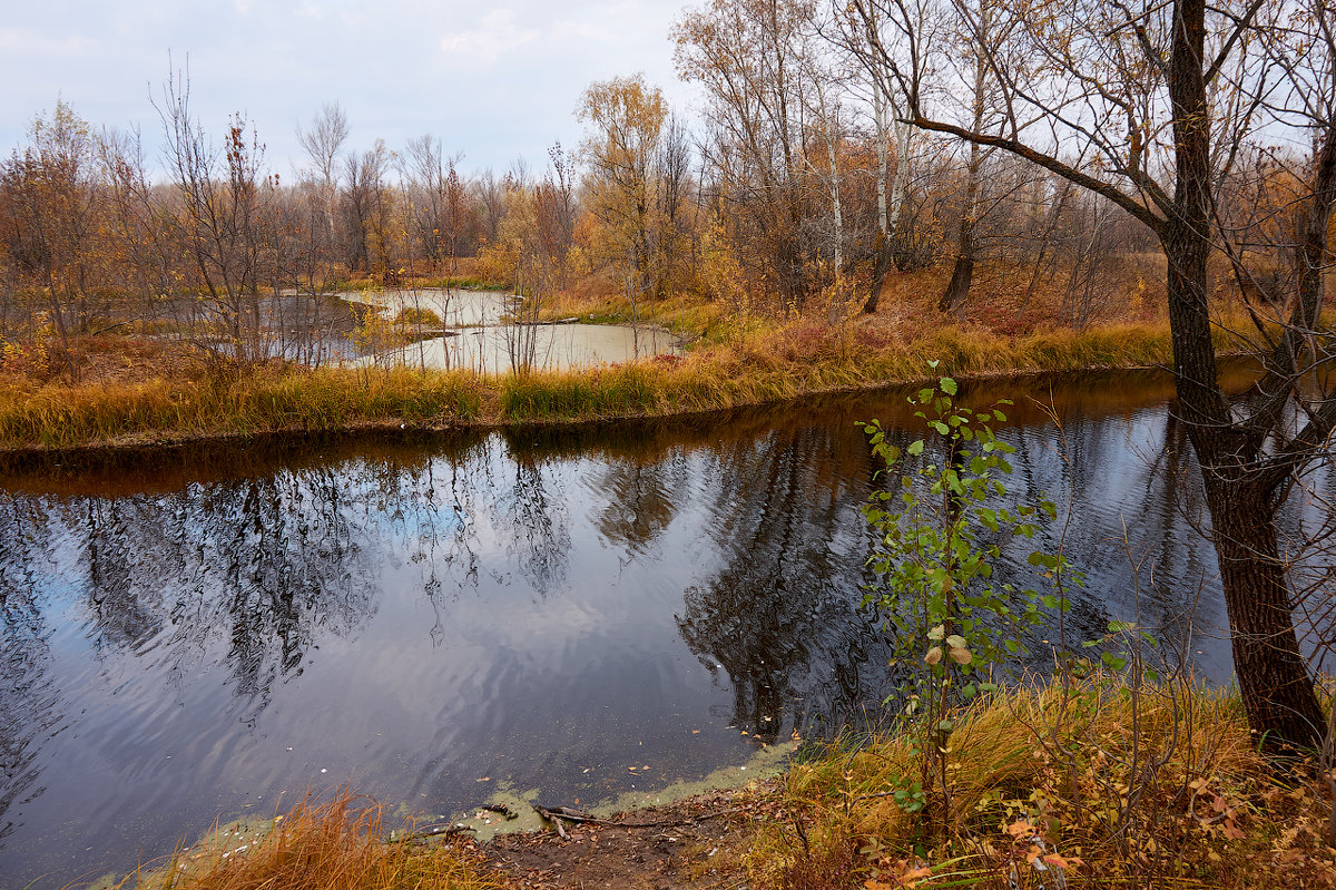 Три воды - Инна Драбкина