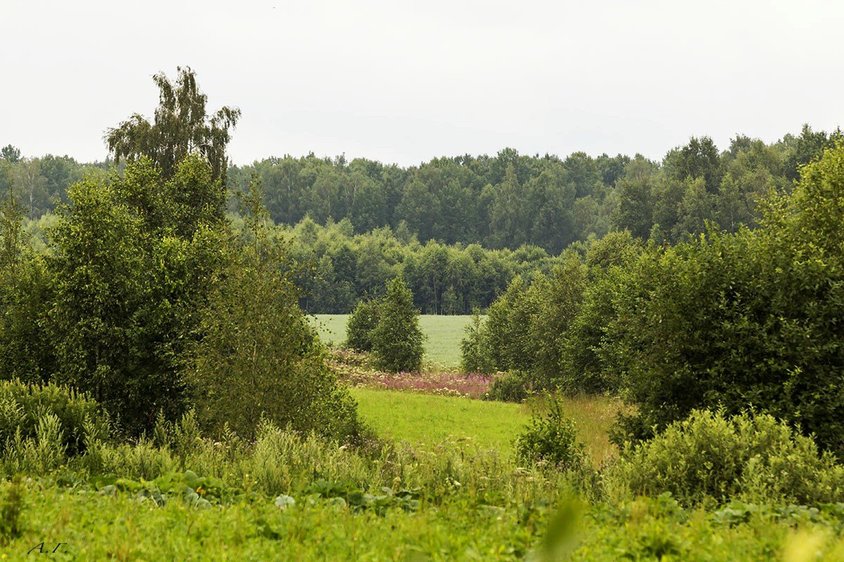 *** - Александр 