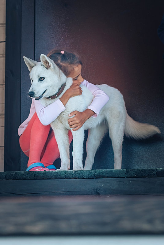 Девочка с собакой - Булат 