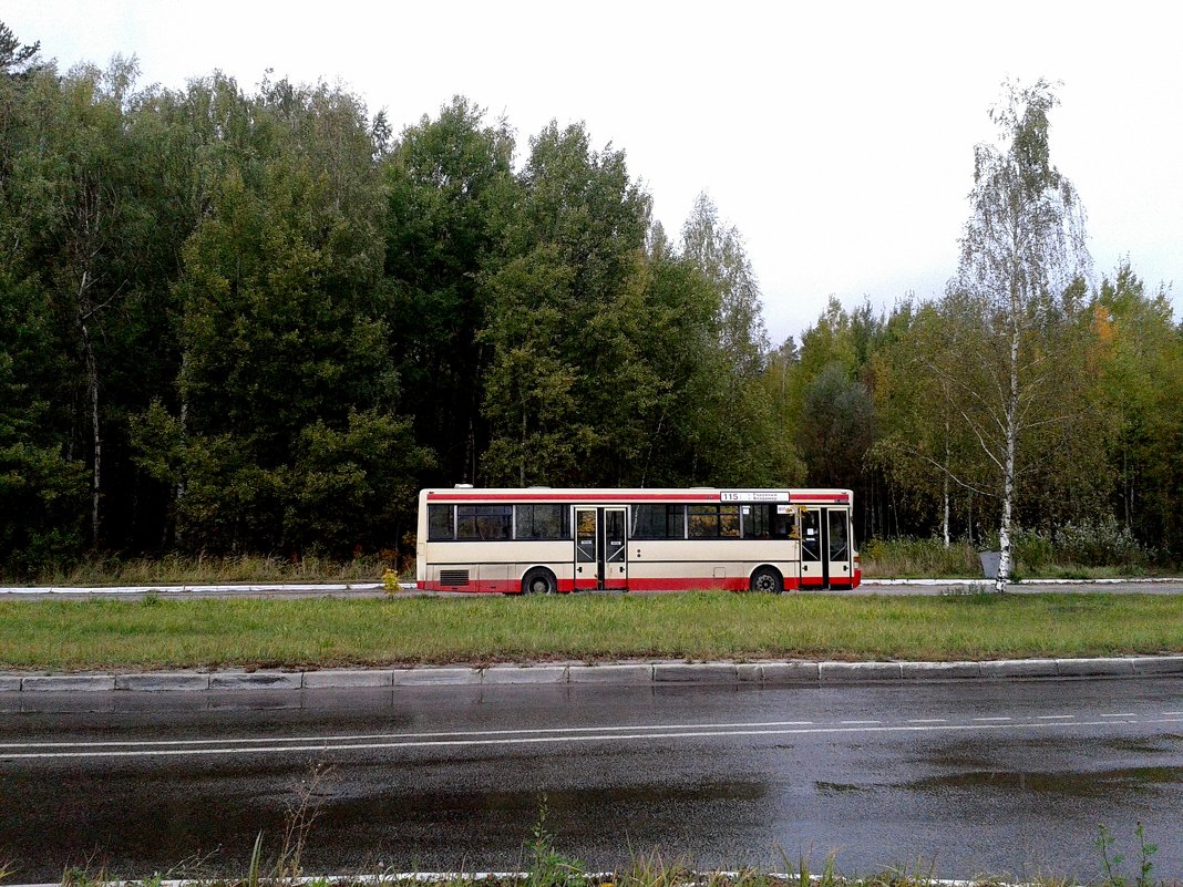 рейсовый автобус - Владимир 