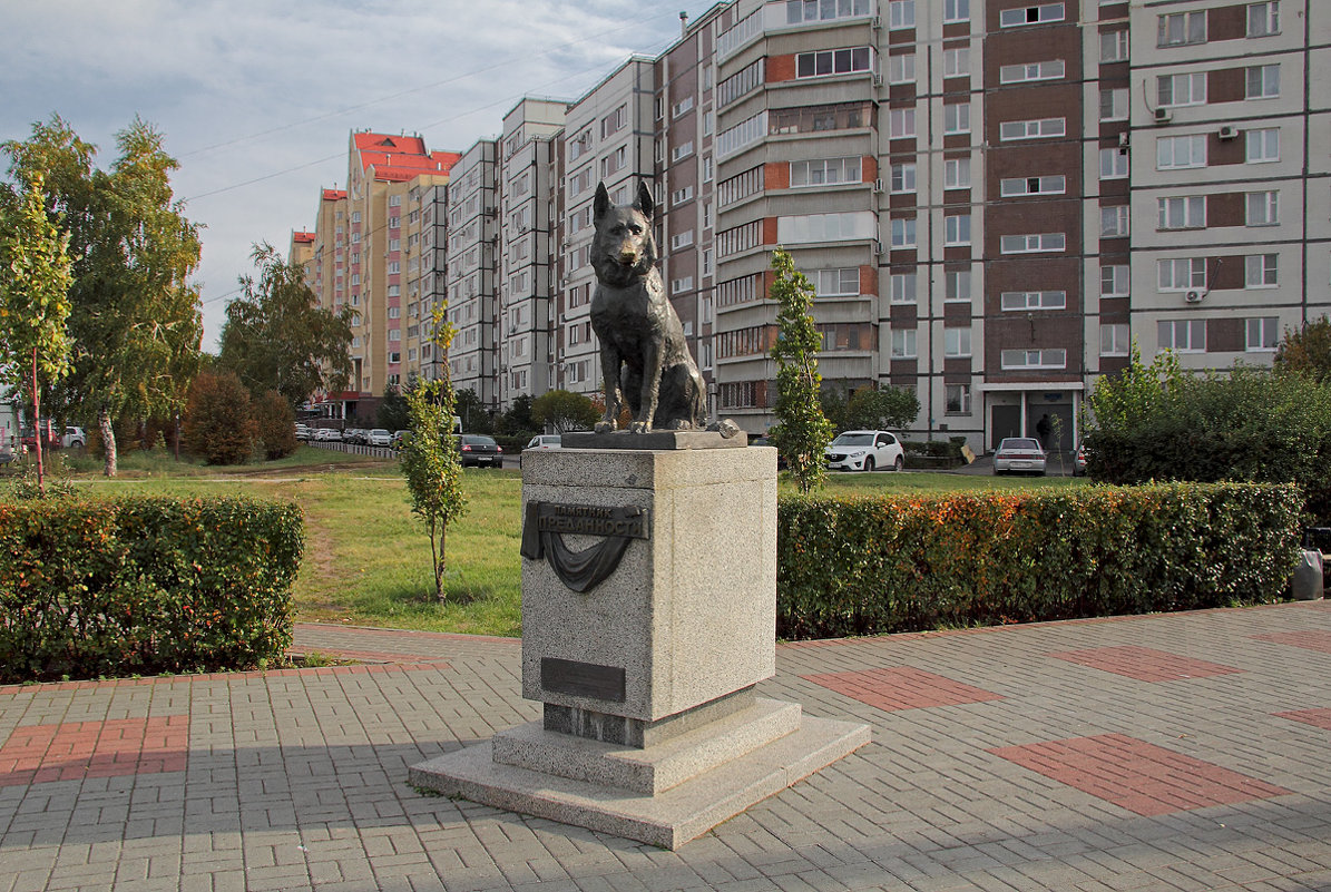 Памятник Преданности. Тольятти. Самарская область - MILAV V