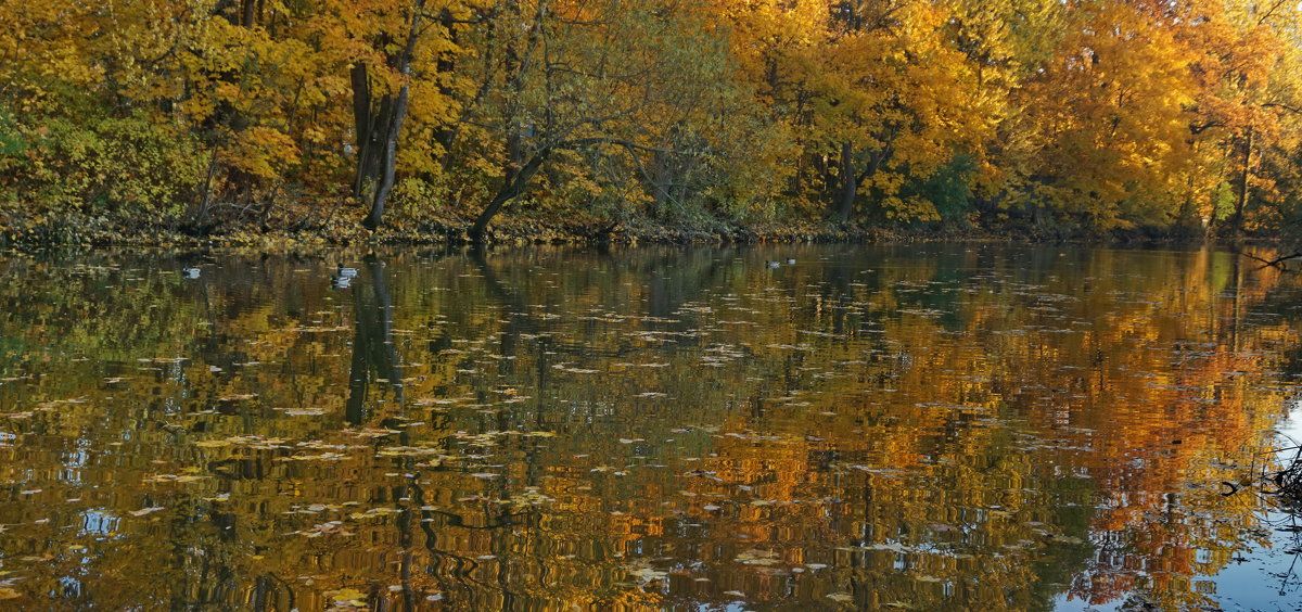 ... - Владимир Гилясев