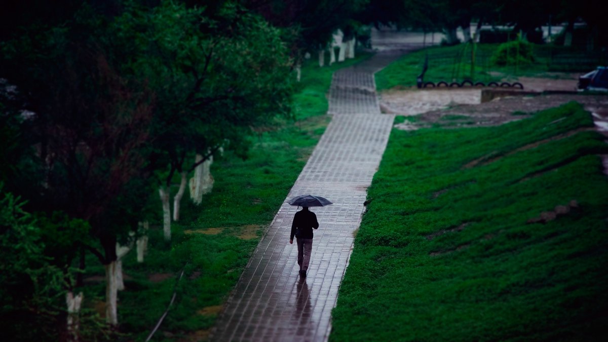 Человек с зонтом - Андрей Молчанов