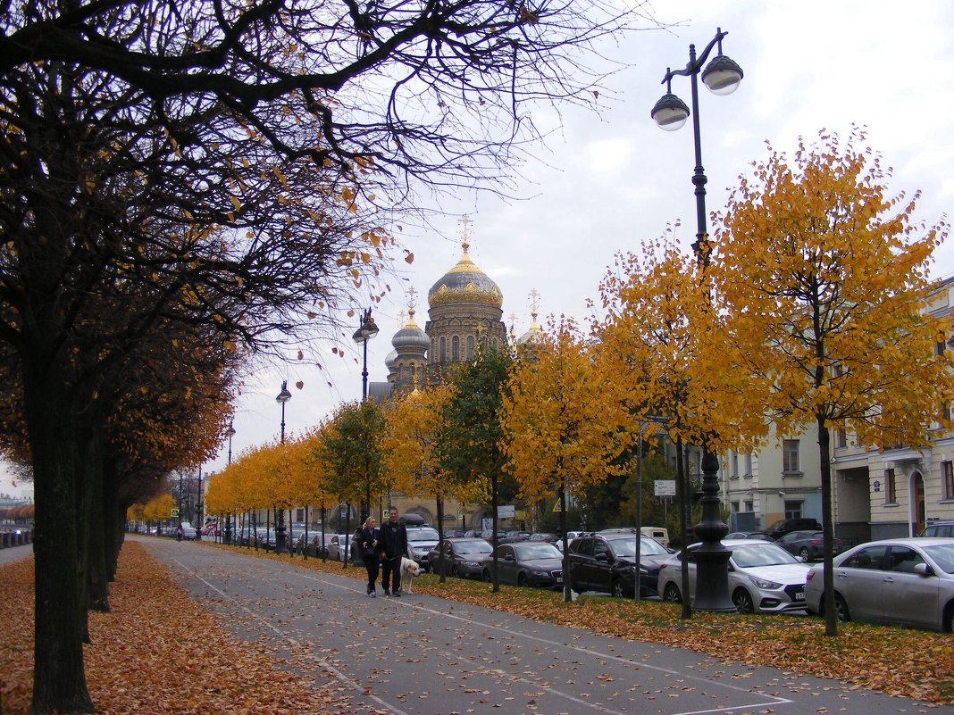 Осенние зарисовки . - Татьяна 