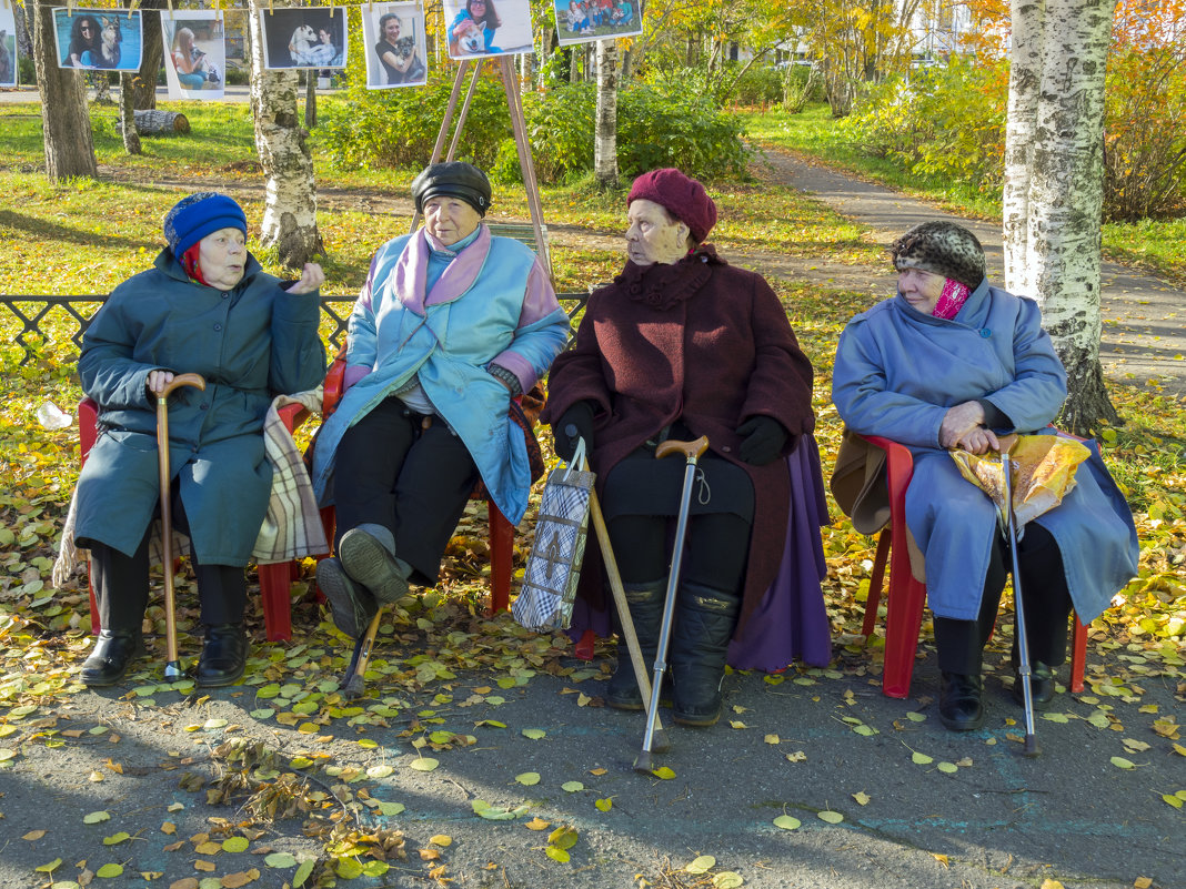 Северодвинск. Чай, собака, Пастернак... и булочки с кунжутом (дворовый праздник) - Владимир Шибинский