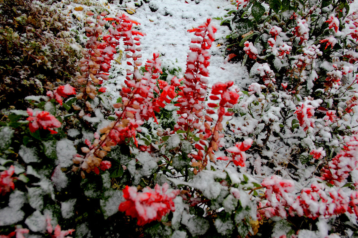 Первый снег в Самаре. 28.10.18 в 12:00 - MILAV V