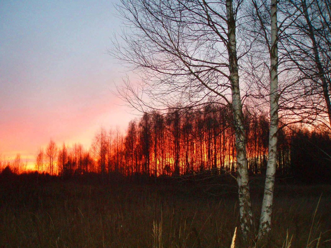 Vakaras / Evening - silvestras gaiziunas gaiziunas