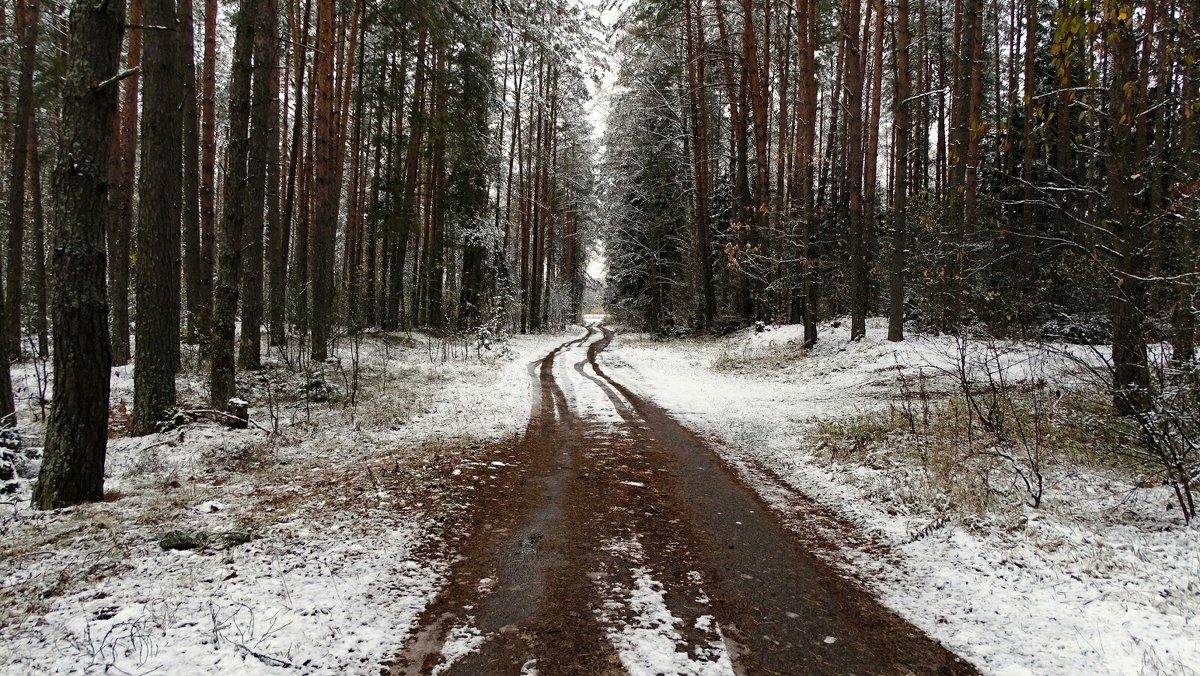 После первого снегопада - Милешкин Владимир Алексеевич 