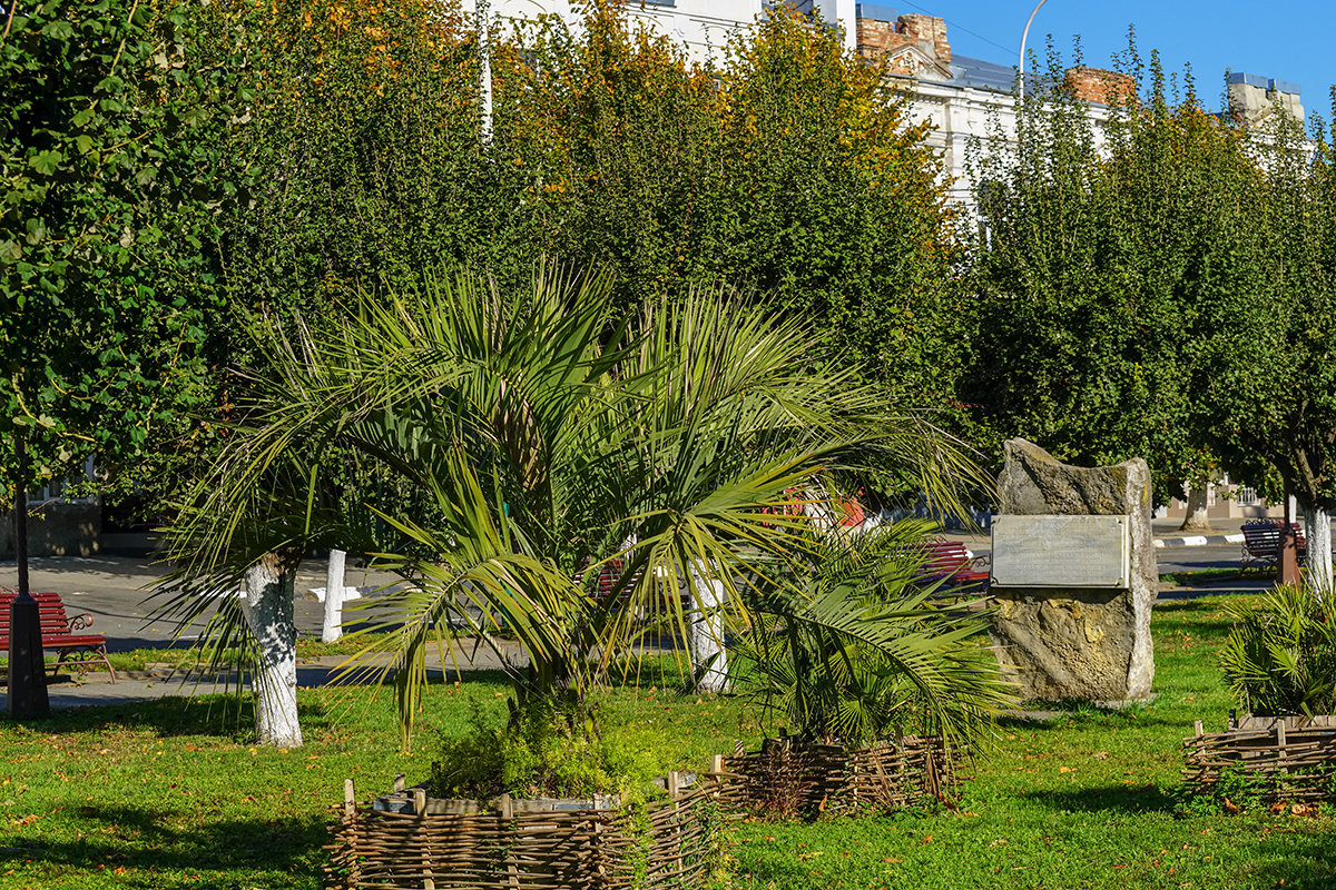 Городские зарисовки - Игорь Сикорский