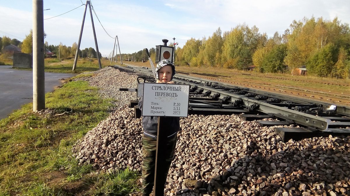 открытие пригородного движения Бологое-Осташков - Елена Тавруева