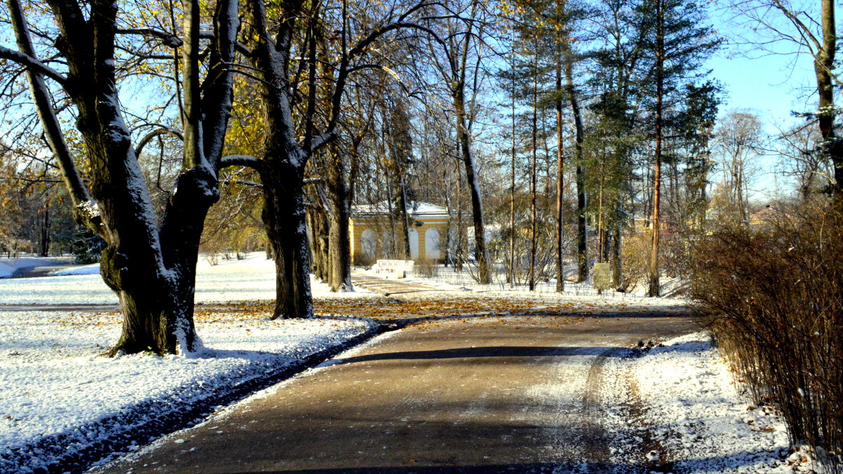 В парке, выпал первый снег  11 - Сергей 