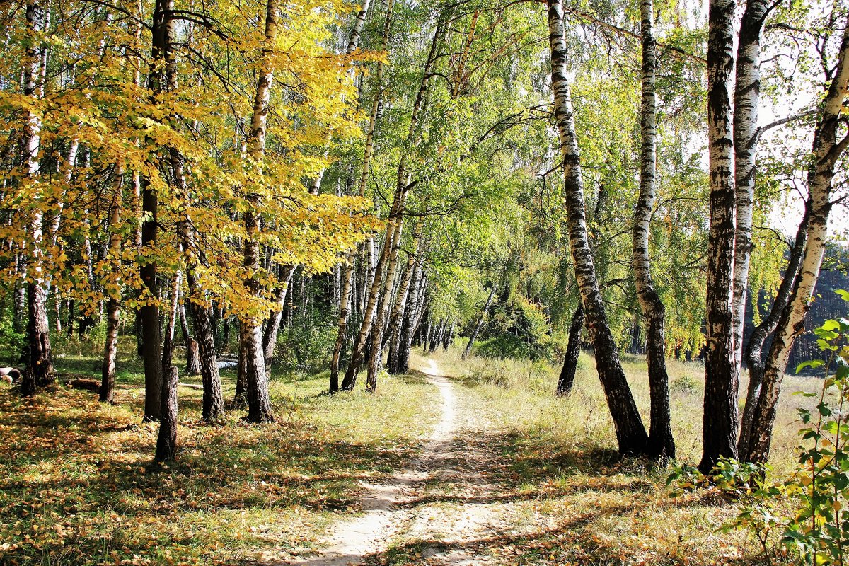 осень - Владимир Холодницкий