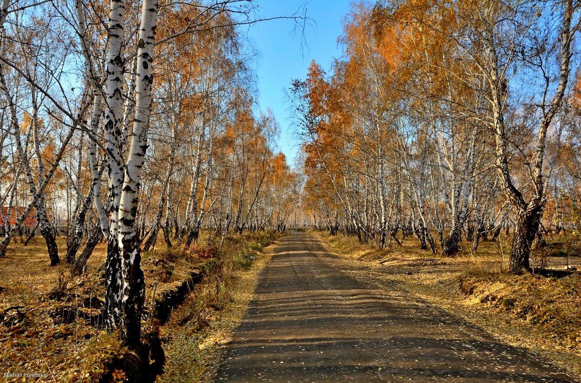 Дорога через осень - Mikhail Irtyshskiy