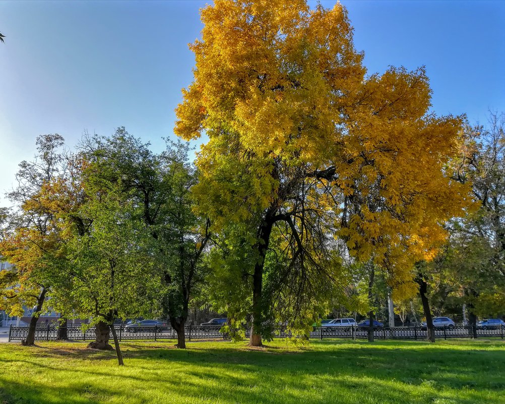 Осень радует красками - Дмитрий фотограф