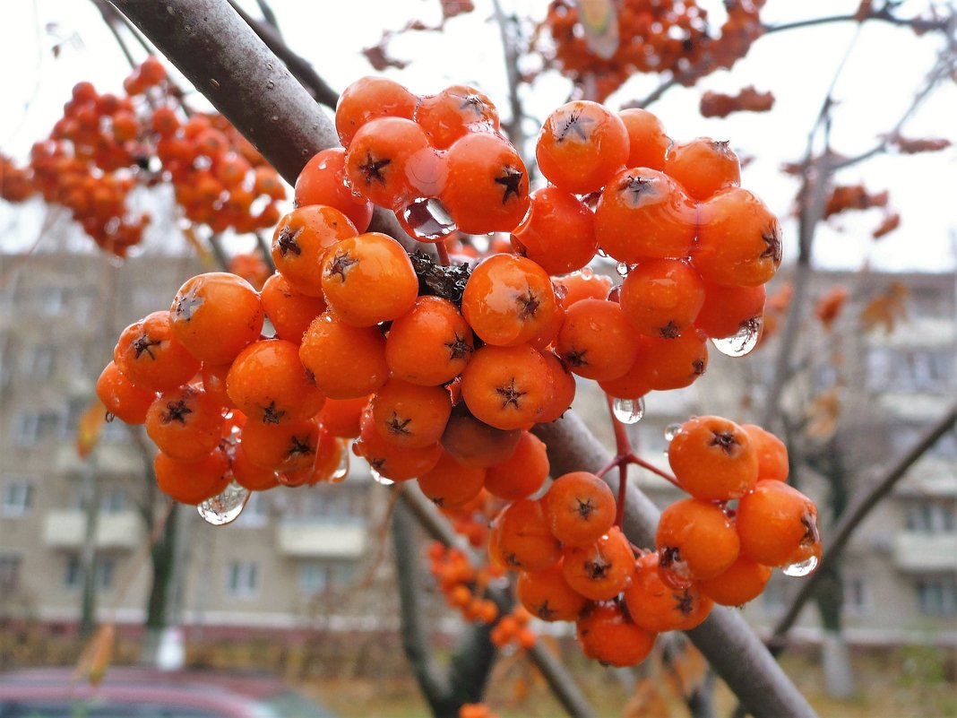 этюд - Владимир Холодницкий