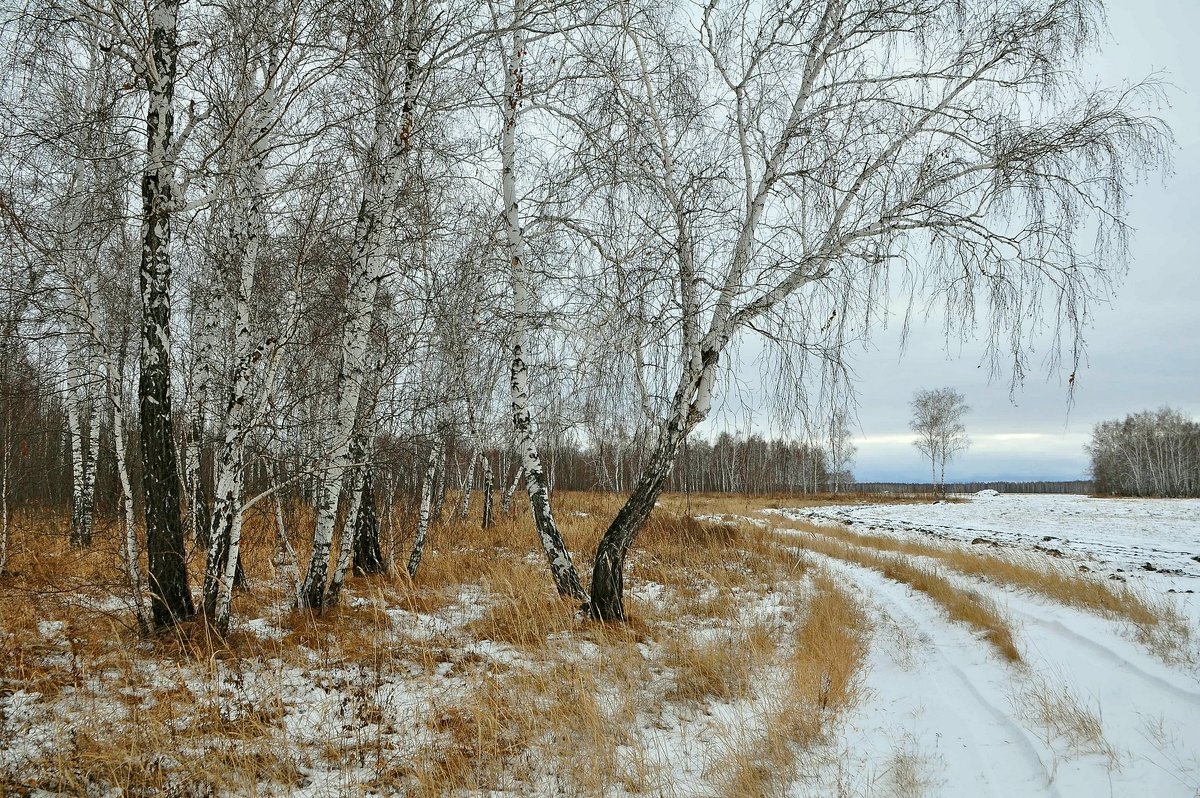 Между осенью и зимой - Владимир Зыбин