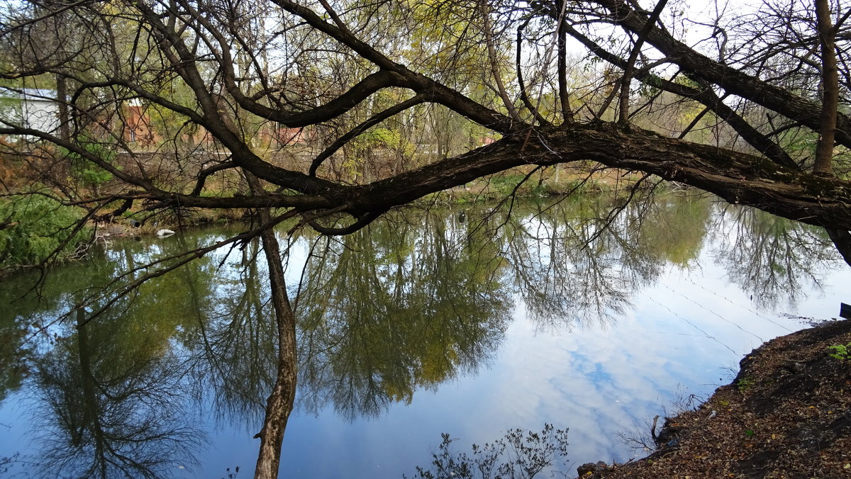 Отражение в реке Темерник - татьяна 