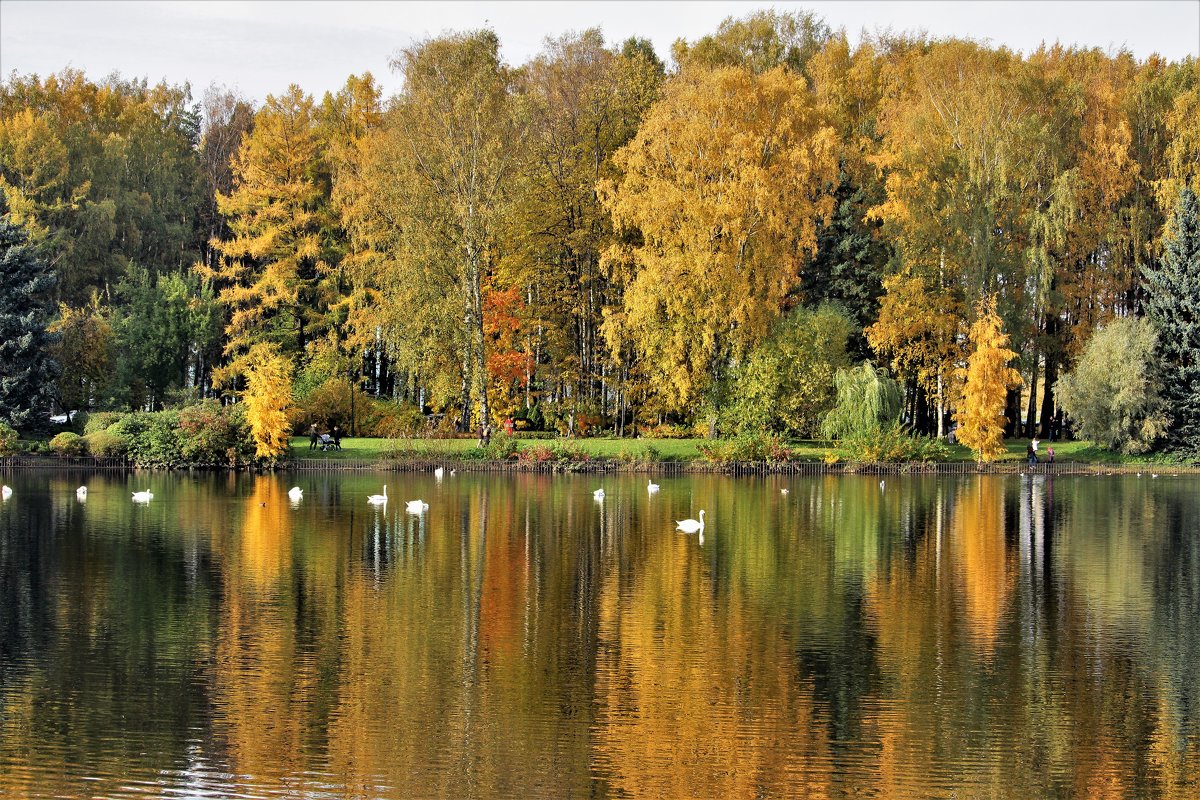 Осень в Петербурге... - Евгений Яхим