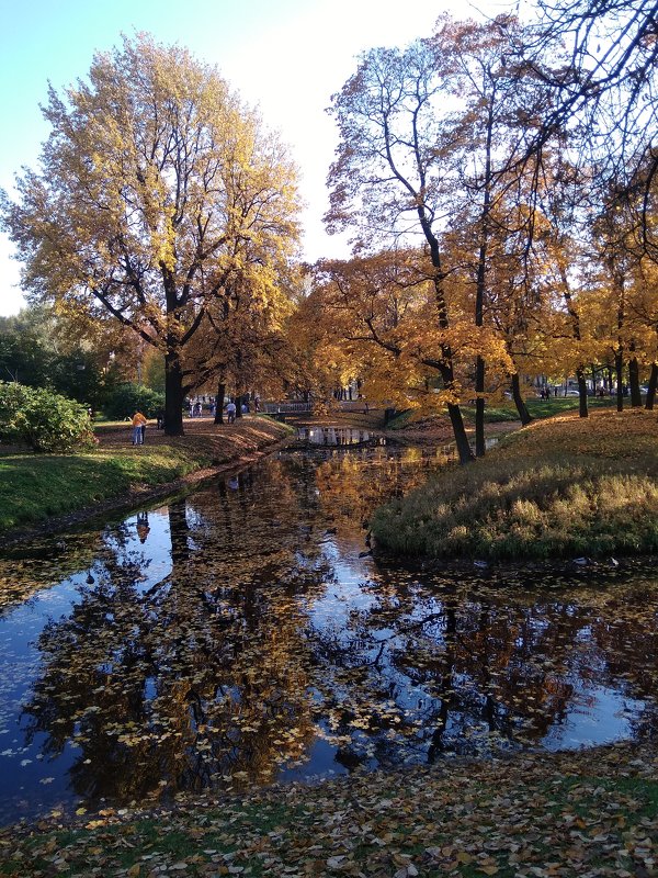 Осенние пейзажи - Елена 
