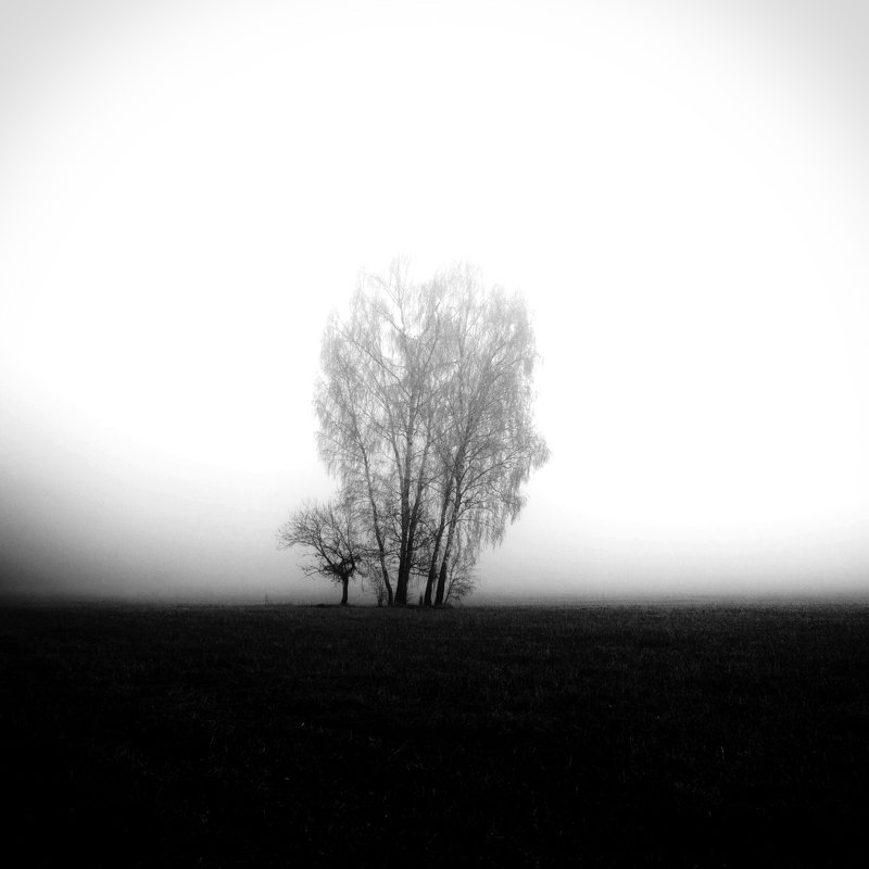 в тумане - Konstantin 