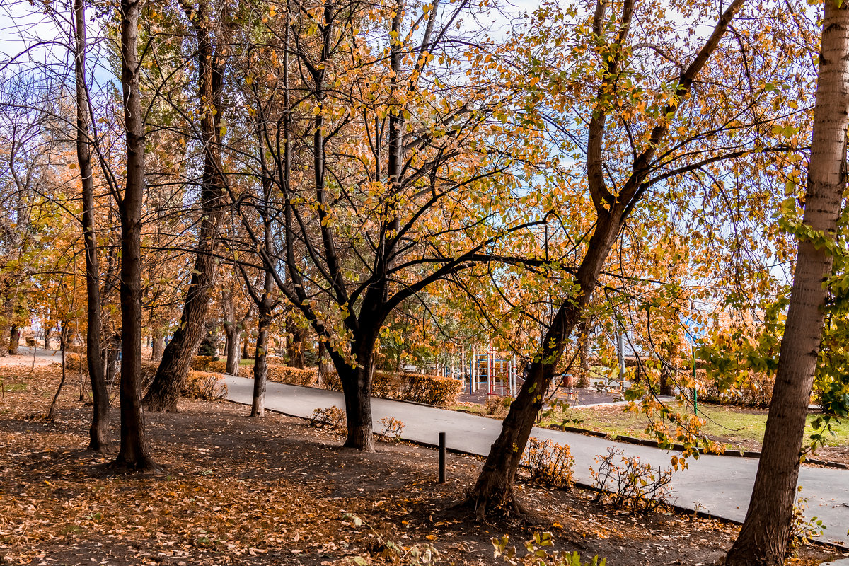 Осень - пора золотая - Cтанислав Анатольевич Курбатов