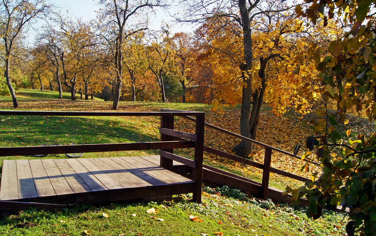 Осень в Царицыно - Елена Кирьянова