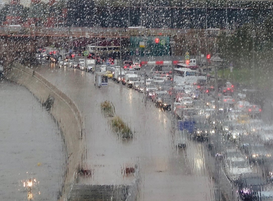 дожди в Москве - Елена 