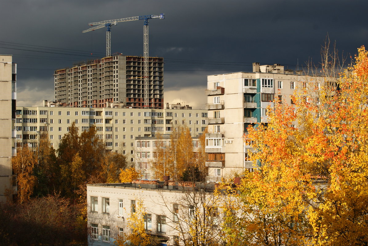 ОСЕНЬ - Виктор Никитенко