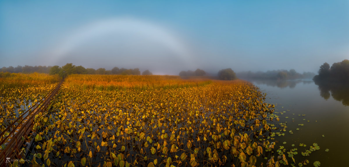 Туманная радуга над осенним полем лотосов - Фёдор. Лашков