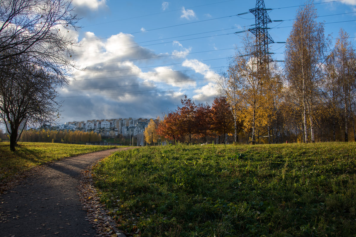 *** - Владимир Безбородов