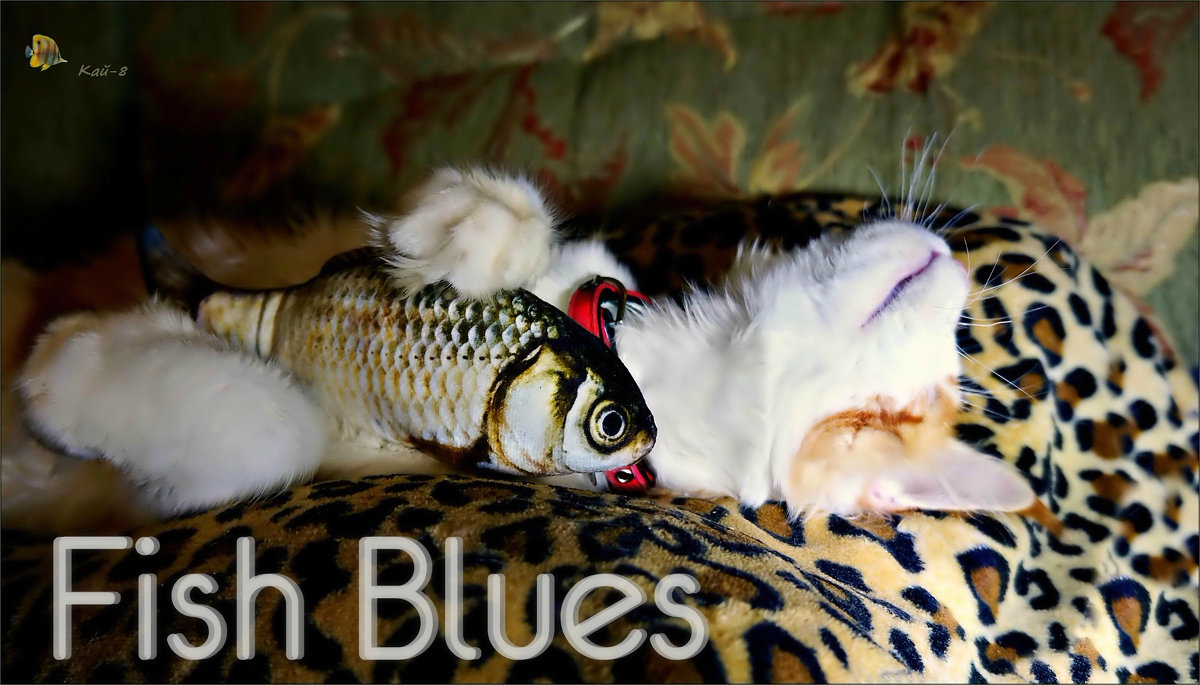 Fish Blues - Кай-8 (Ярослав) Забелин
