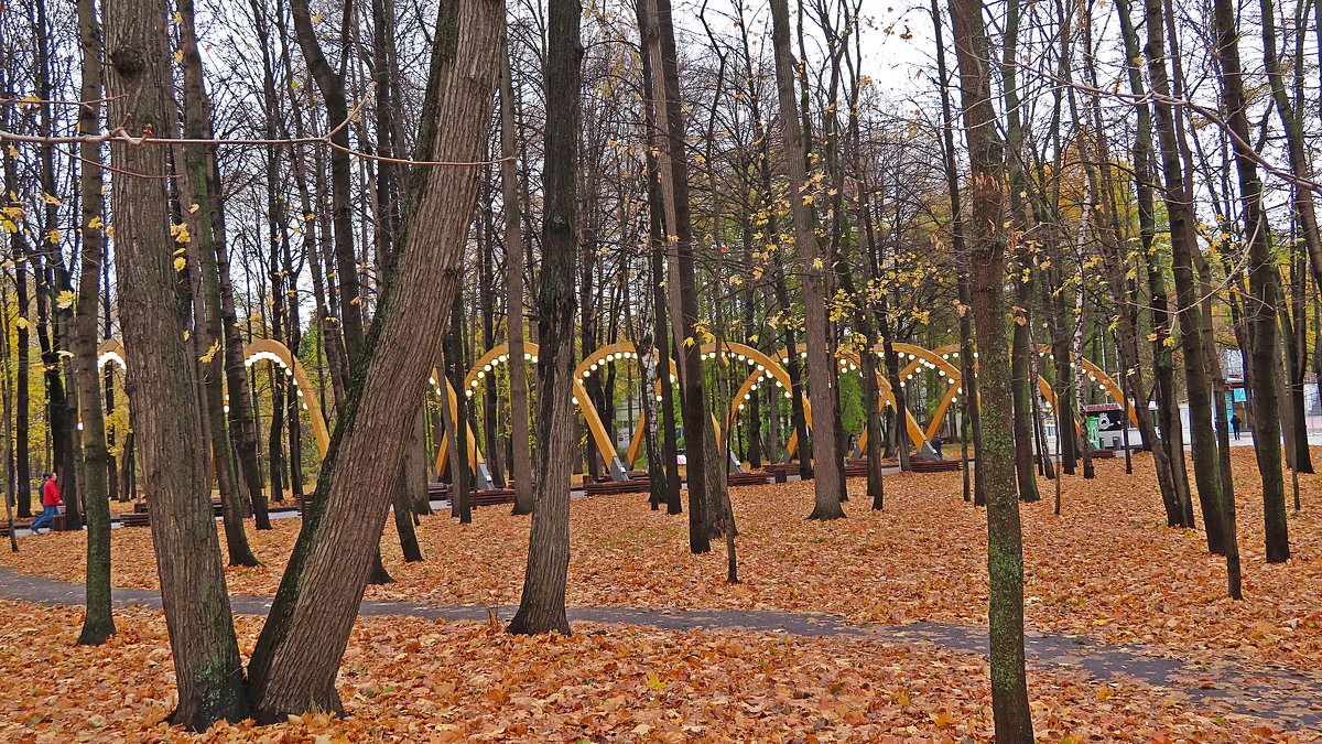 "Осень  ! Осень ! Лес  остыл и  листья  сбросил....!" - Виталий Селиванов 