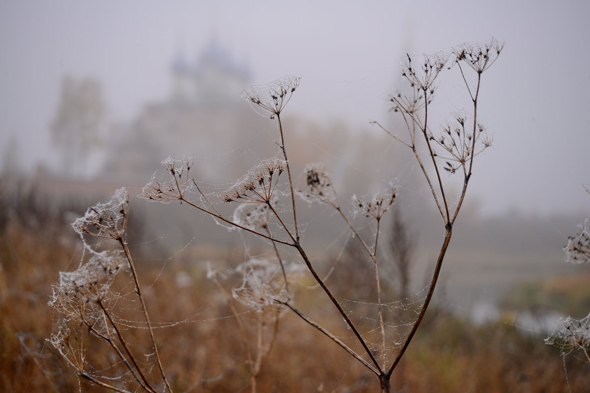 Утро туманное в Дунилово - Валерий Толмачев