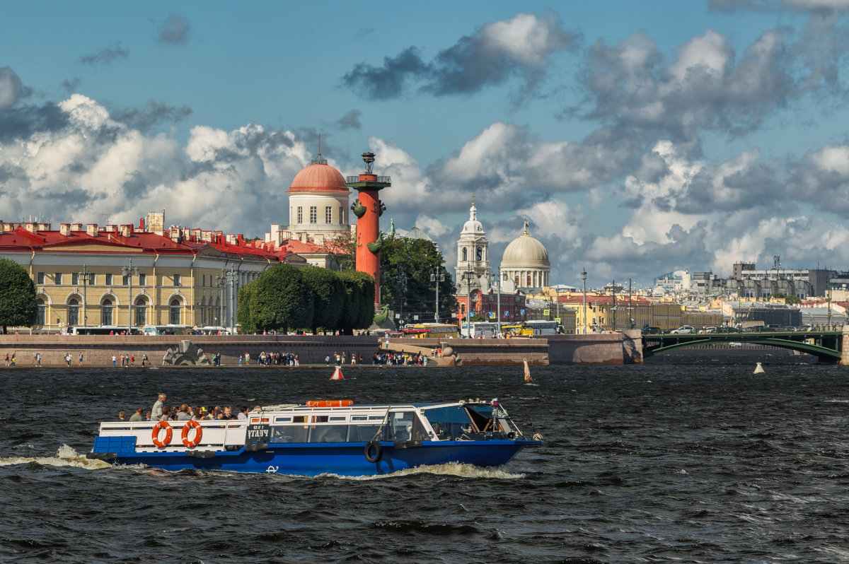 Парадный Петербург. Стрелка и рядом - Владимир Колесников