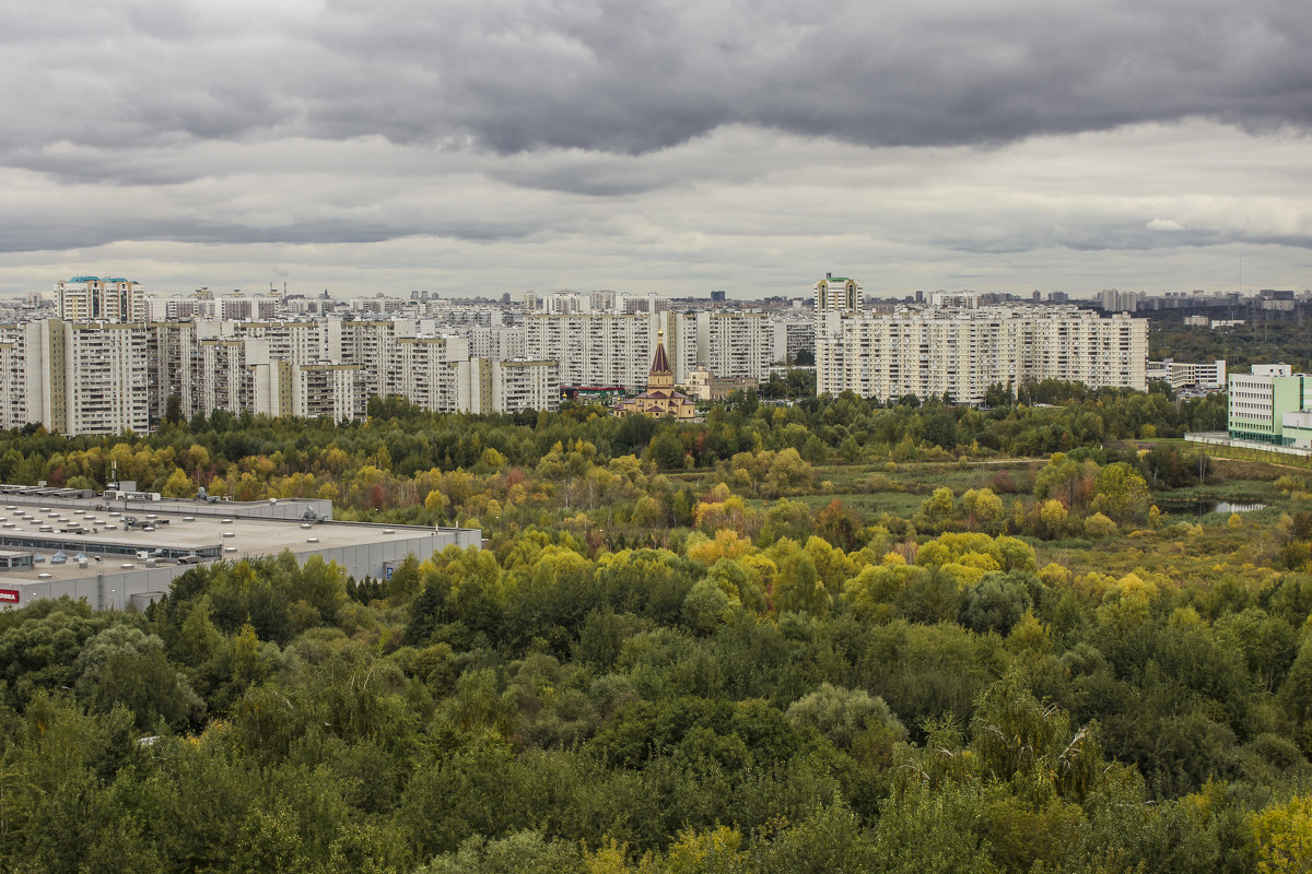 взгляд на Братеево - Петр Беляков