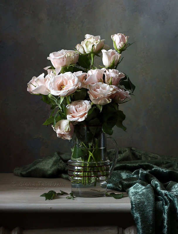 Чайные розы - Елена Татульян 