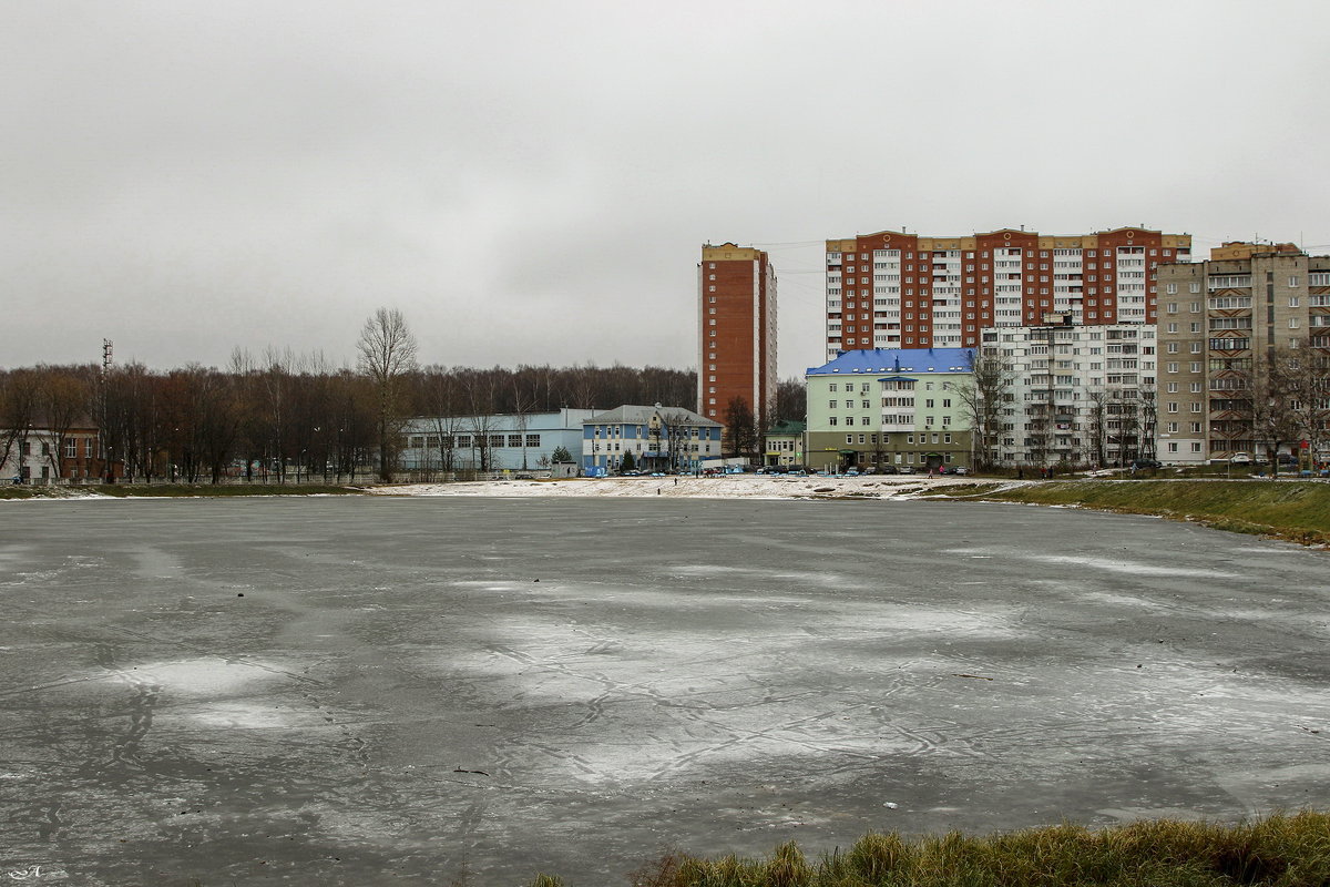 Городской пруд. - Анатолий. Chesnavik.