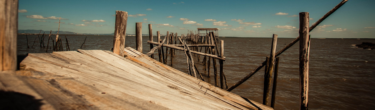 Carrasqueira Setubal Portugal - Yuriy Rogov