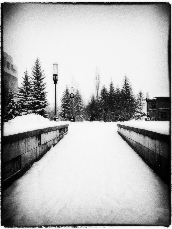 Зима в черно-белом - Анастасия Иванова