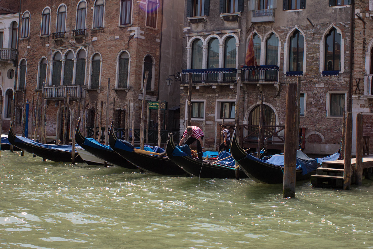 Venezia - Александр Туренко