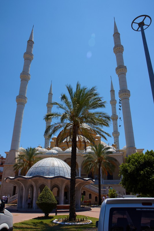 пальма, мечеть, блик - xmЬIr krooGl0W