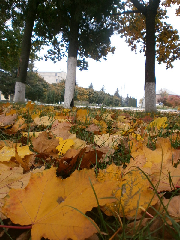 А листья падают - Олег Погинайко