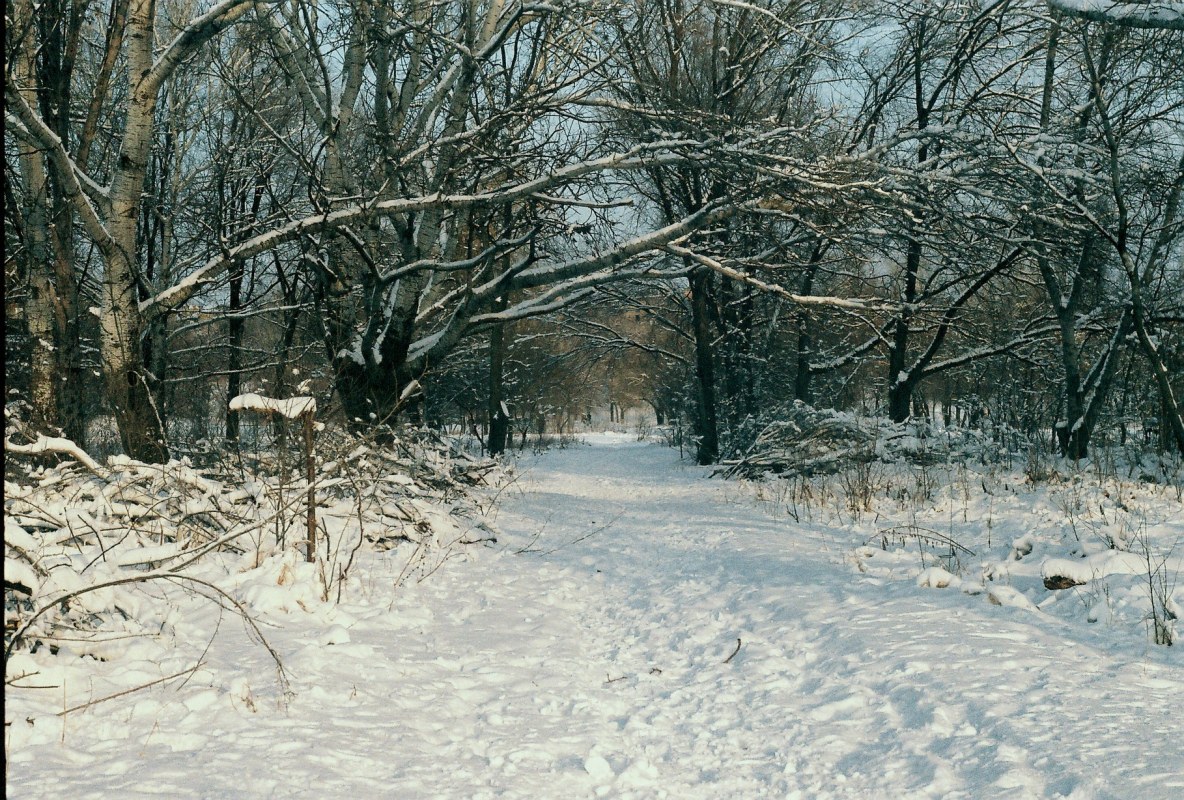 фото - Егор Гребенюк