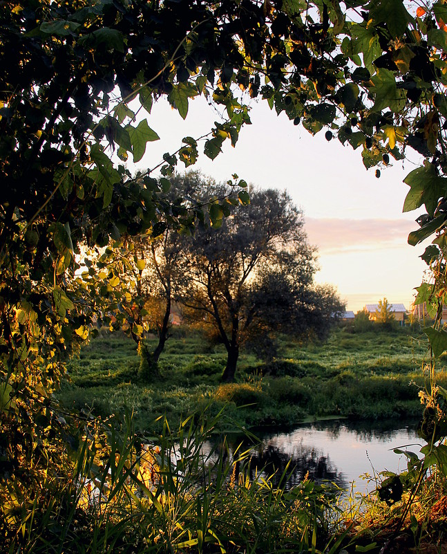 *** - marina-rosinka2 