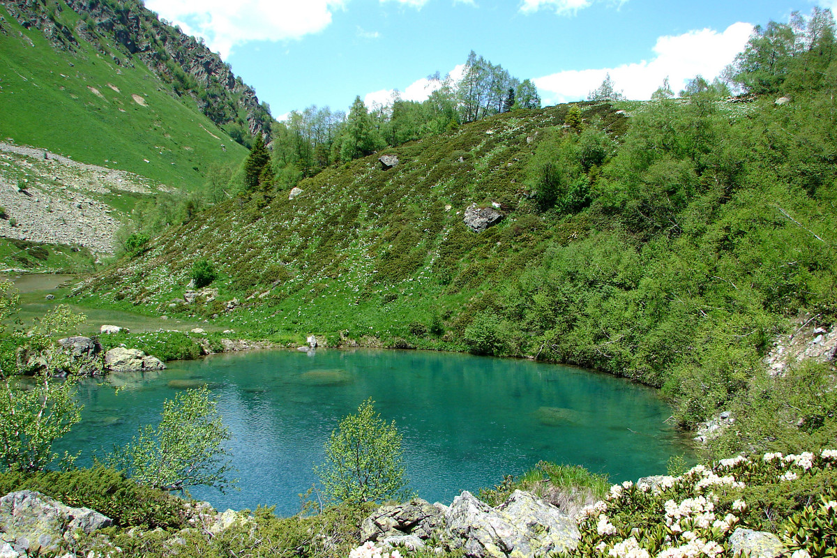 Озеро Запятая - Светлана Попова